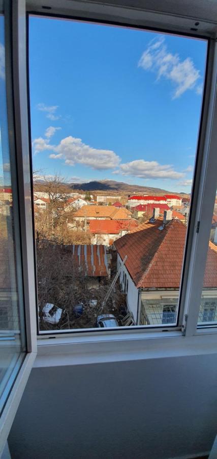 Ferienwohnung Garsoniera Horezu Exterior foto