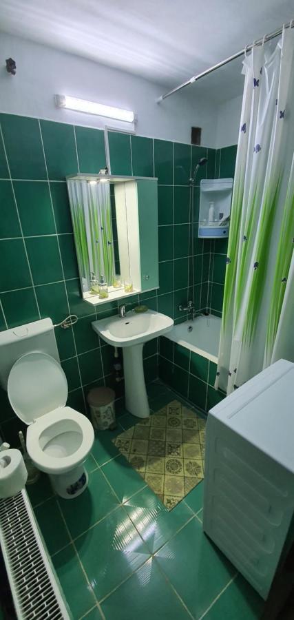 Ferienwohnung Garsoniera Horezu Exterior foto