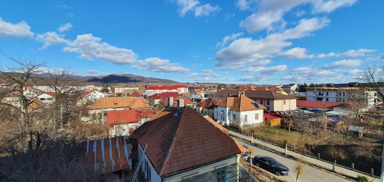 Ferienwohnung Garsoniera Horezu Exterior foto